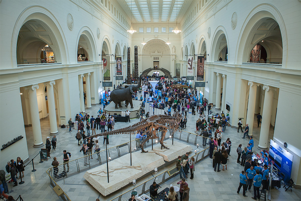 World of Genomics Field Museum Interior from above