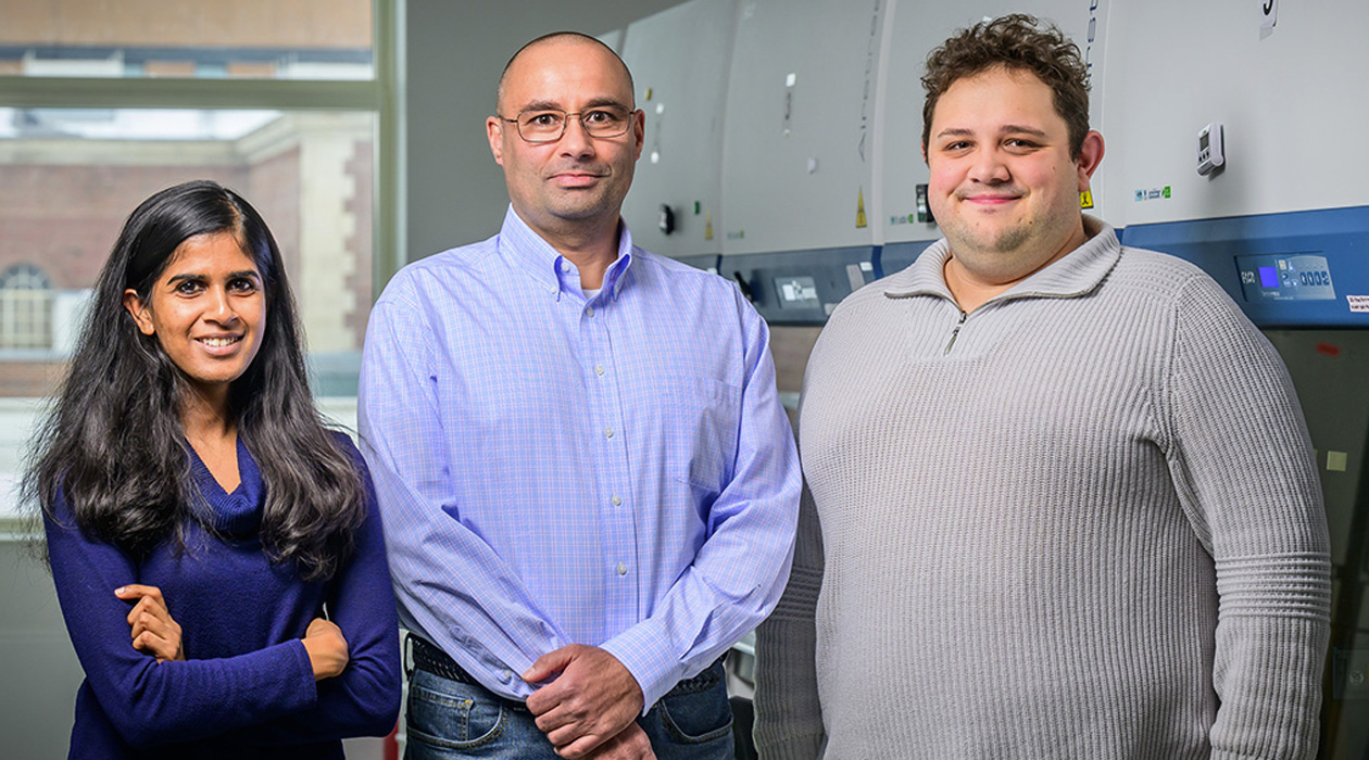 A new gene editing tool helps cells skip gene regions with problematic mutations. From left, graduate student Shraddha Shirguppe, Professor Pablo Perez-Pinera, and graduate student Angelo Miskalis led a team that applied the tool to reduce proteins associated with Alzheimer’s disease in mice. / Fred Zwicky