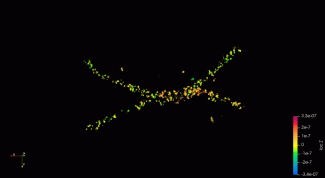 3D fused structure of two axial elements (AEs) during the diplotene stage of prophase I. The stained protein is SYCP3. 