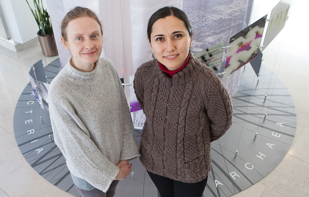 Justina Zurauskiene, left, is a Birmingham-Illinois Partnership for Discovery, Engagement and Education (BRIDGE) fellow collaborating with Assistant Professor in Food Science and Human Nutrition Zeynep Madak-Erdogan (ONC-PM/GSP). Zurauskiene is also a fellow at the Institute of Cancer and Genomic Sciences in Birmingham, England.