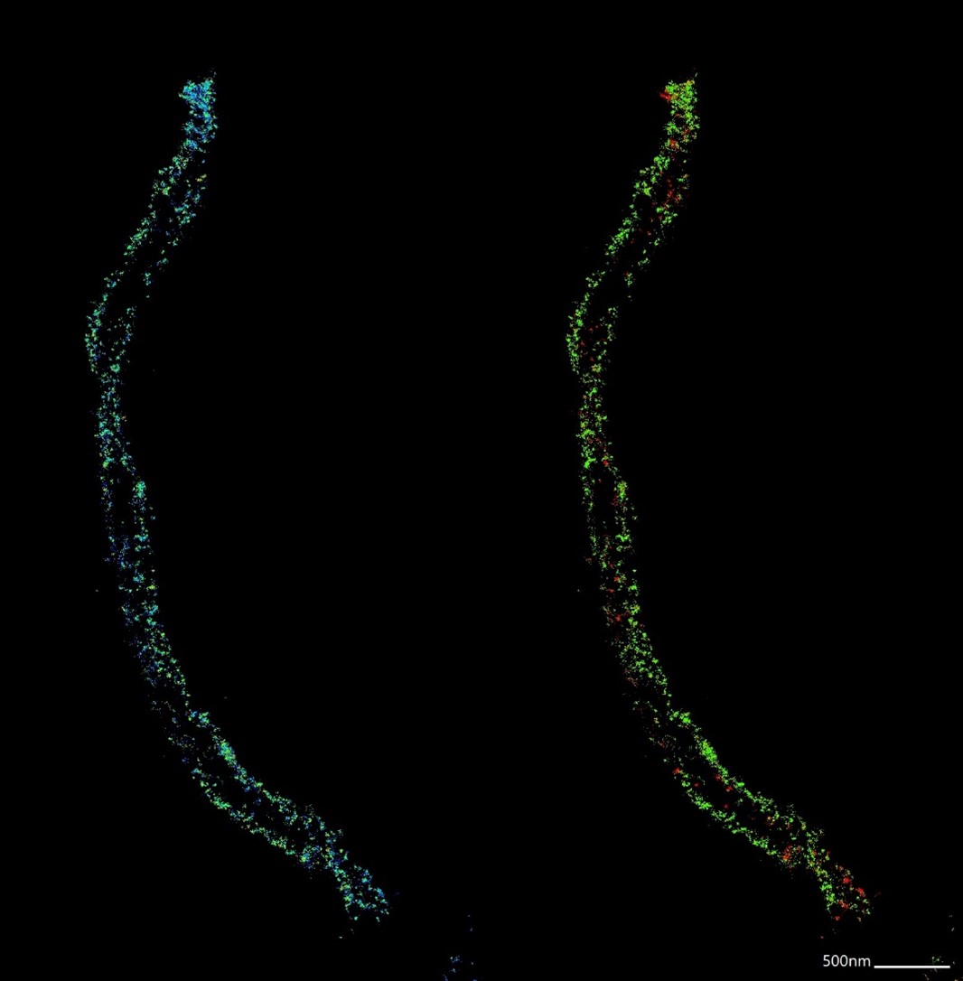 Qiao lab Minflux1