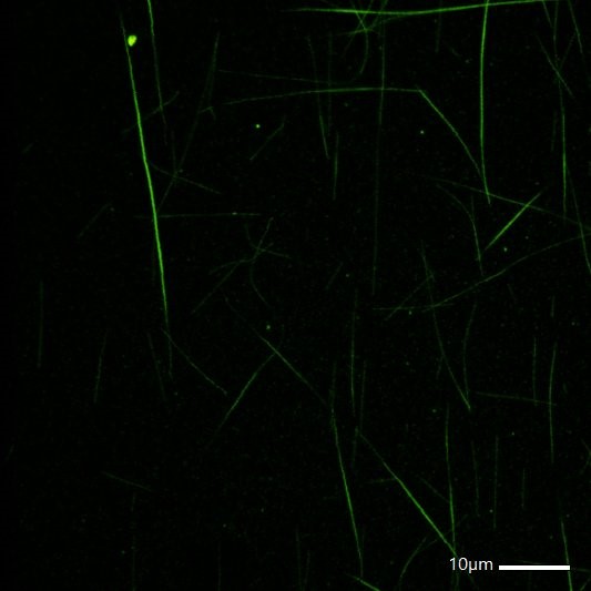 Selvin Lab Minflux1