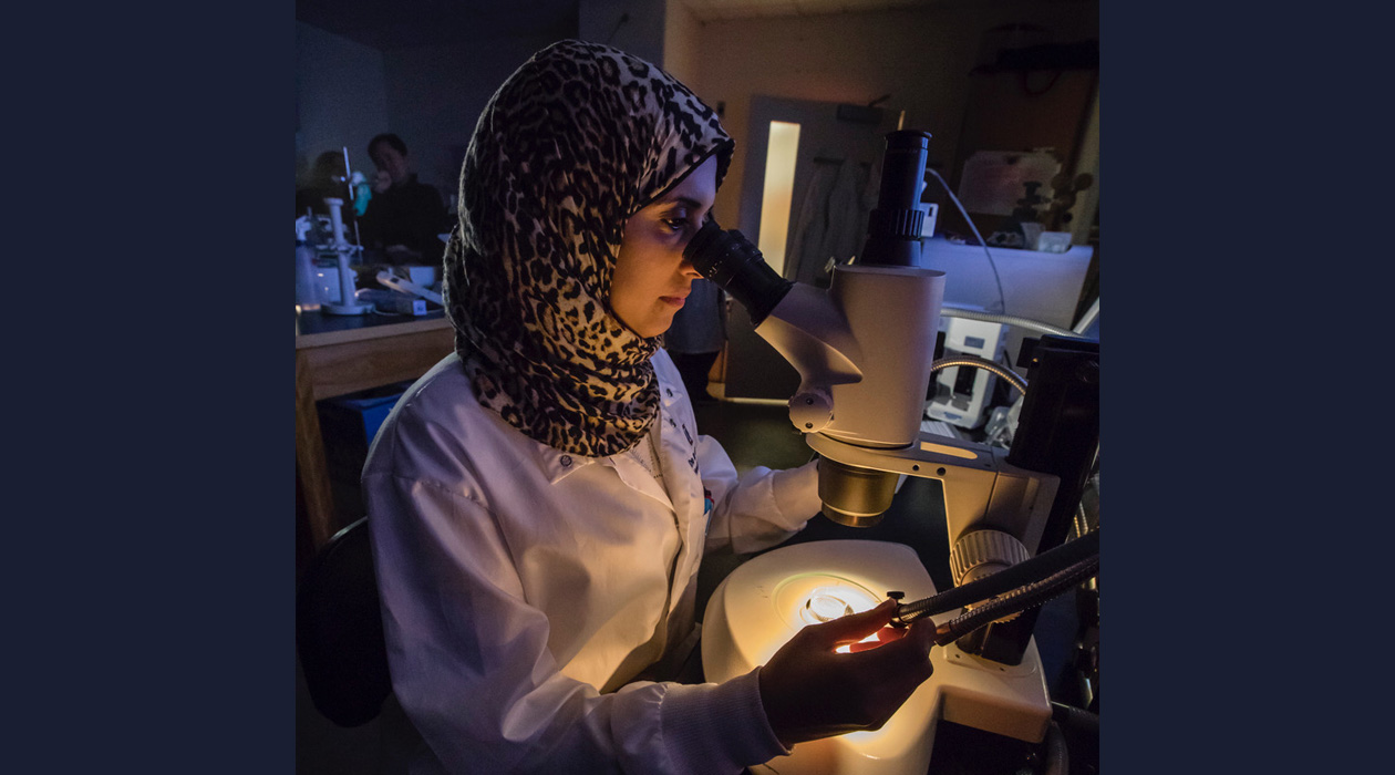 Dr. Radawa Barakat is the first author of the paper and a former graduate student in the Ko lab. She is currently a postdoctoral researcher at the Iowa State University.