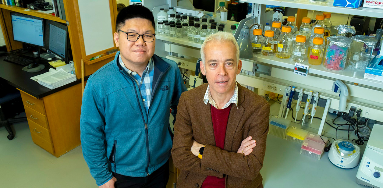 The first author Thu Vu Phuc Nguyen, left, and Ido Golding investigated how coinfecting phages can impede each other’s entry into a cell. 