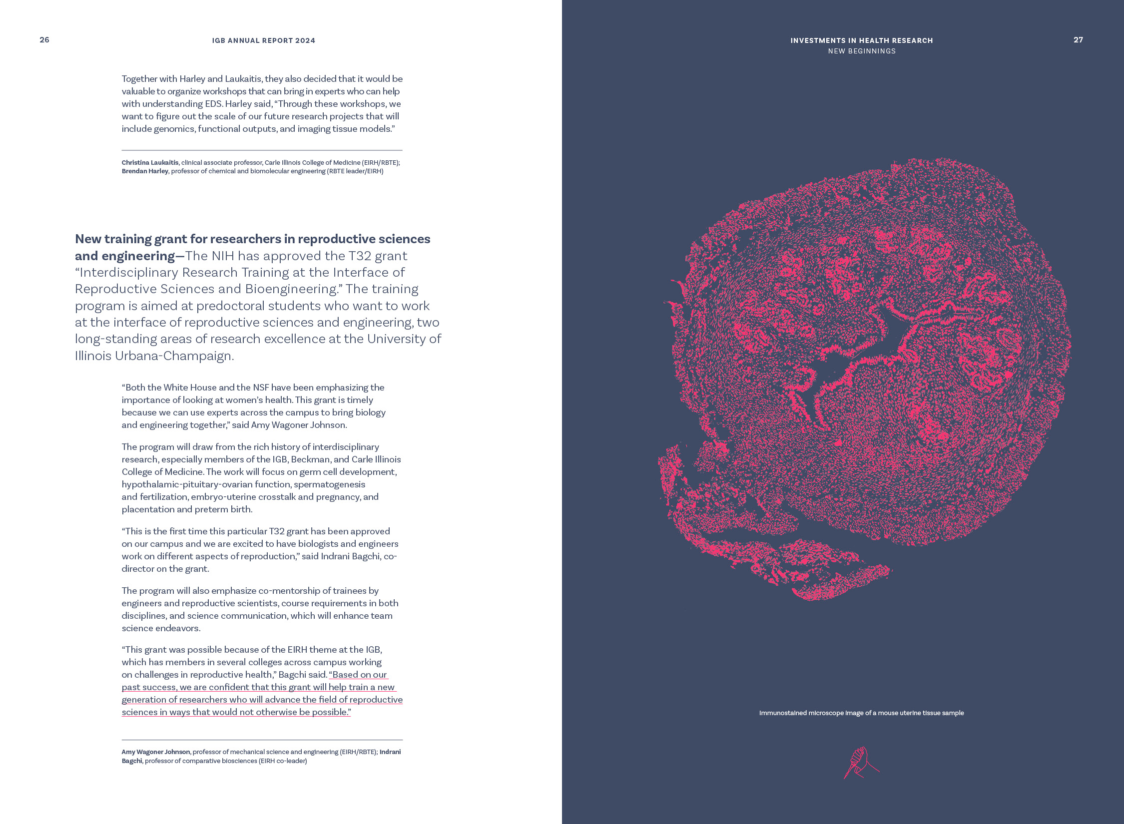 New beginnings stories, Investments in health research