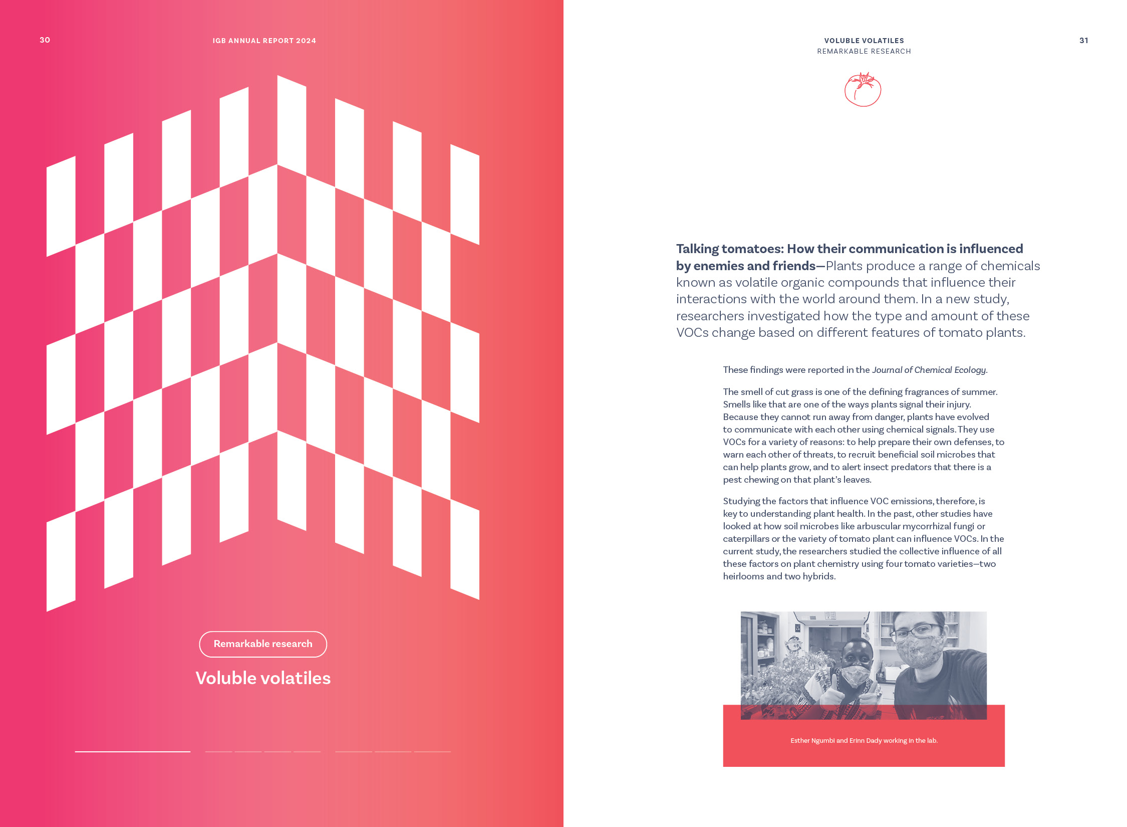 Remarkable Research stories, Voluble volatiles