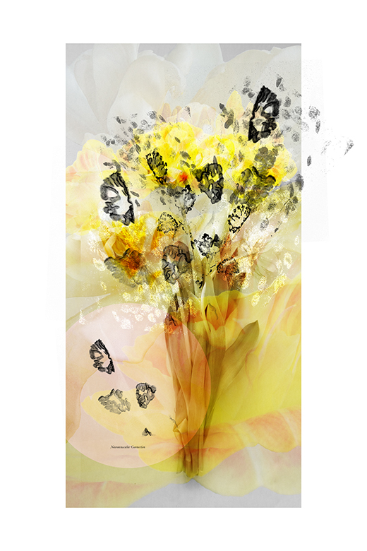 Art of science floral image