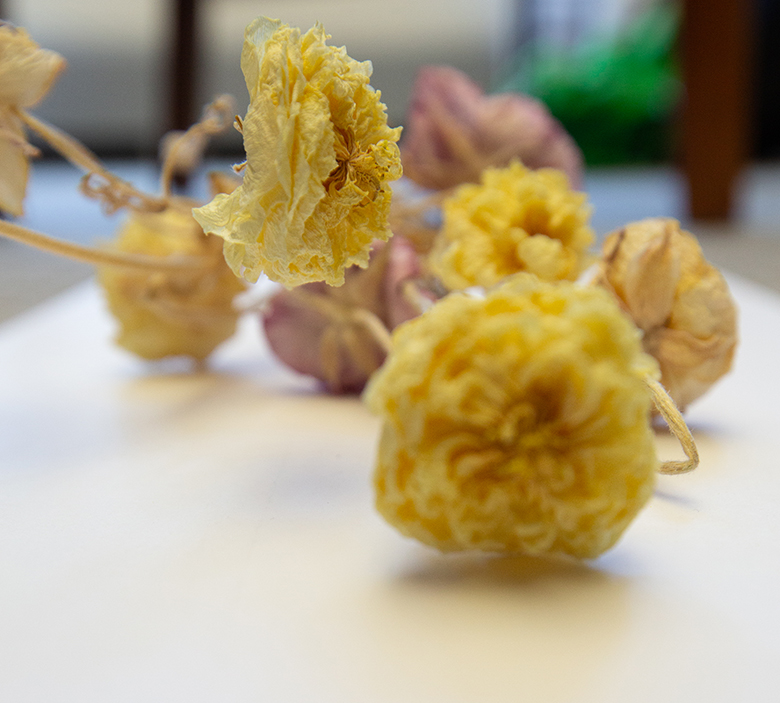 Dried flowers
