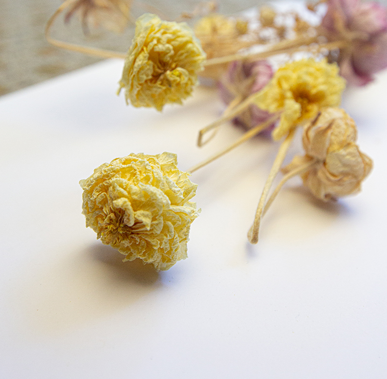 Art of Science flower images