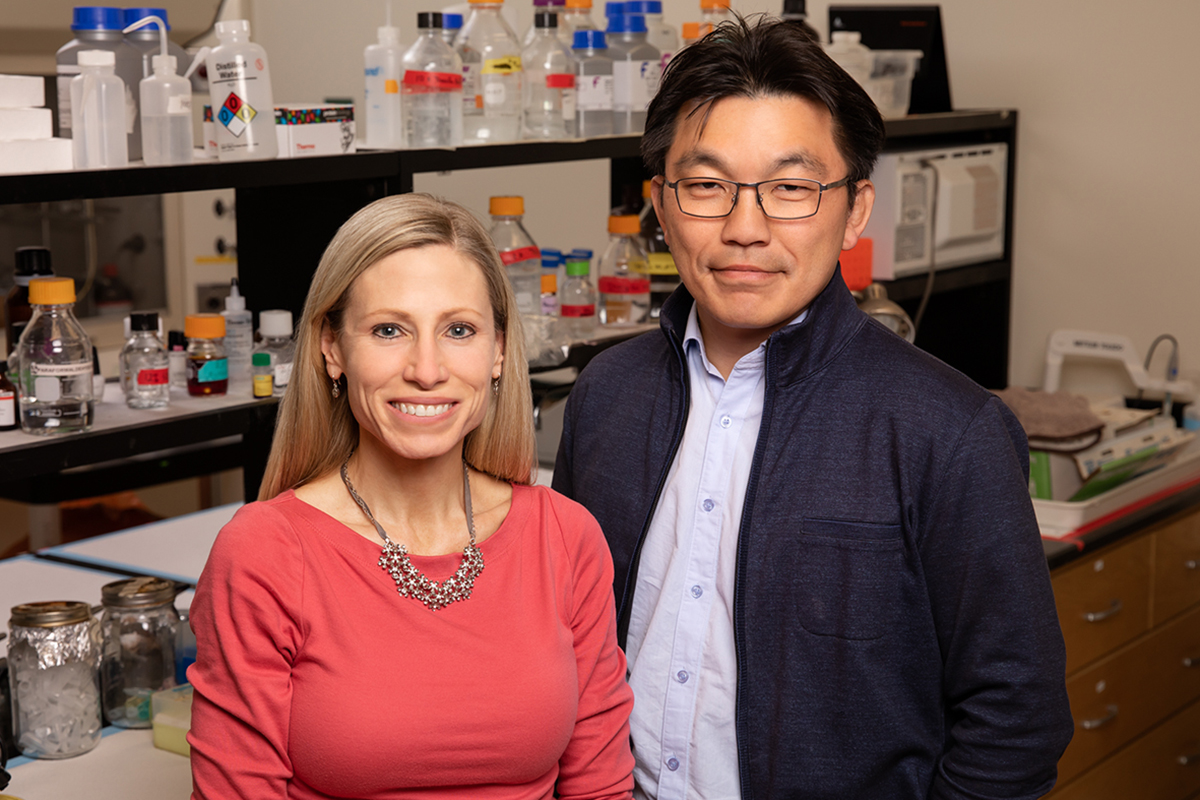 U. of I. kinesiology and community health professor Marni Boppart, chemical and biomolecular engineering professor HyunJoon Kong and their colleagues discovered that injections of support cells known as pericytes can aid muscle regrowth after disuse atrophy. The study was conducted in mice.
