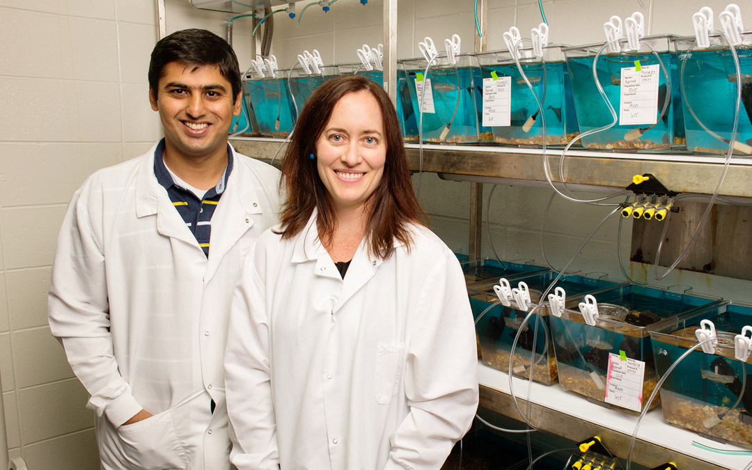 University of Illinois animal biology professor Alison Bell, right, with graduate student Abbas Bukhari.