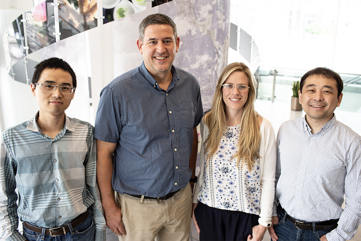 A team from the University of Illinois has stacked together six high-powered algorithms to help researchers make more precise predictions from hyperspectral data to identify high-yielding crop traits. From left to right: Postdoctoral Researcher Peng Fu, USDA-ARS Scientist Carl Bernacchi, Postdoctoral Researcher Katherine Meacham-Hensold, and Assistant Professor Kaiyu Guan.