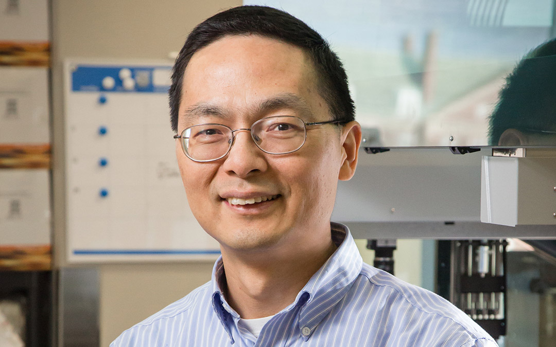 Professor Huimin Zhao led a team that achieved the highest reported efficiency of inserting genes into human cells with CRISPR-Cas9.