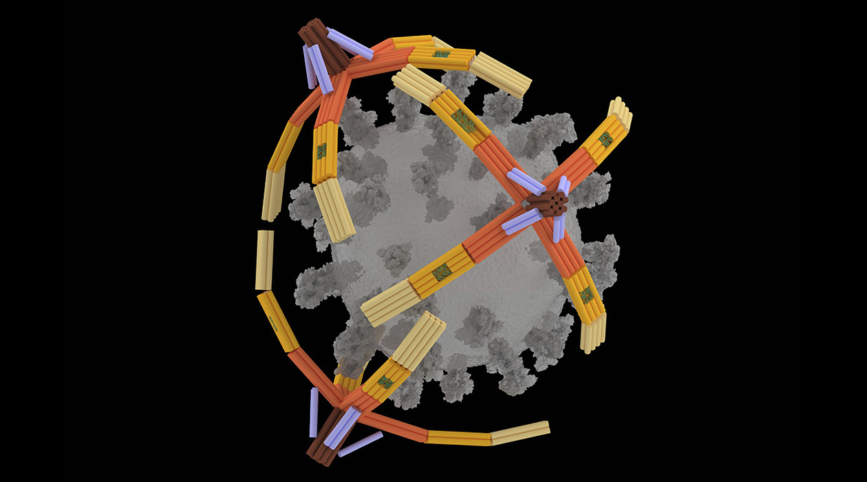 Illinois researchers developed a nanorobotic hand made of DNA that can grab viruses for detection or inhibition. In this artist’s rendering, three “NanoGripper” hands wrap around a COVID-19 virus.  Image courtesy of Xing Wang