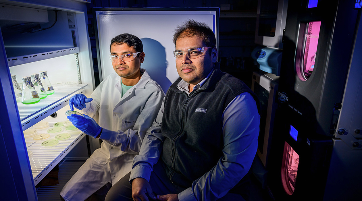 From left, postdoctoral researcher Bidhan Chandra De, chemistry professor Angad Mehta and their colleagues found evidence indicating that chloroplasts may have originated as energy-generating organelles and later evolved to support carbon assimilation in plant cells.  Photo by Fred Zwicky