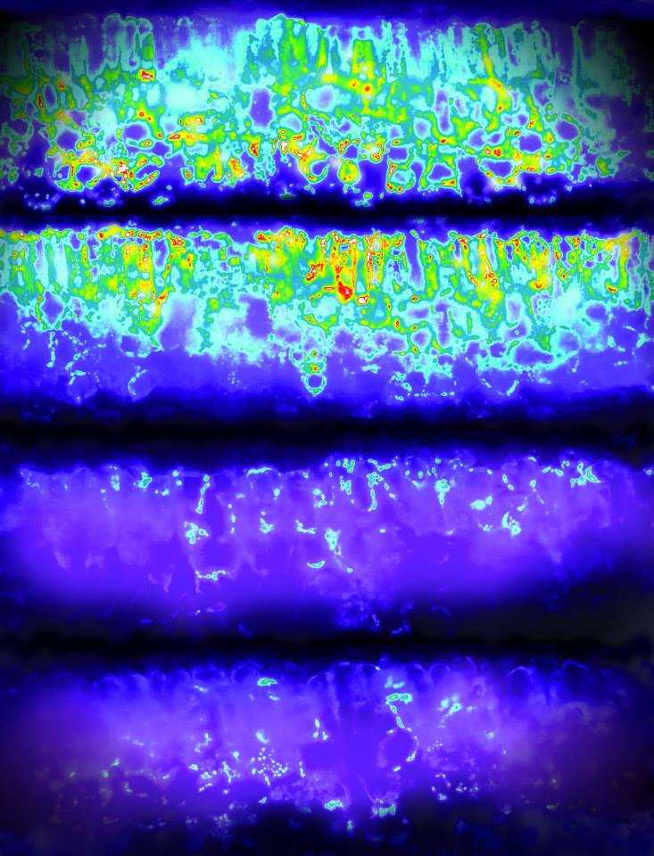 Let it sink in<br />
Zeiss Lightsheet Z.1 Microscope