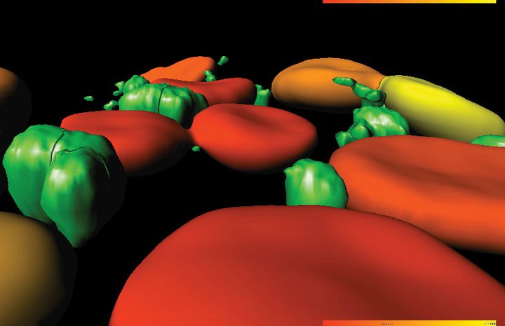 Plant cell playground<br />
Andor Spinning Disk Confocal Microscope