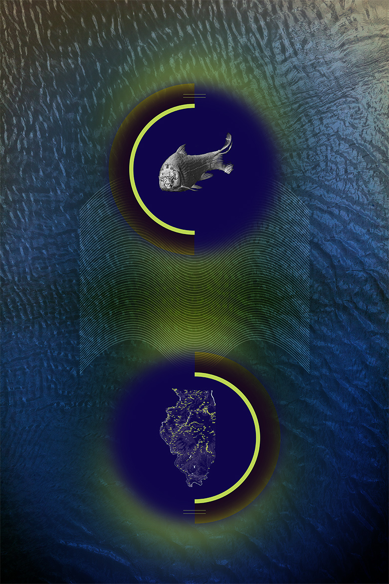 WATER<br />
Scientist Collaborator Christopher A. Taylor<br />
IGB Core Facilities &amp; The Illinois Natural History Survey<br />
NSI X5000 High Resolution MicroCT and rendered in 3D using Imaris 3D<br />
Funded by the Illinois Natural History Survey