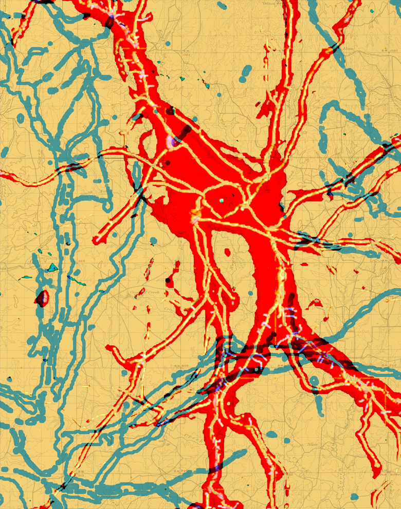 Zeiss LSM 880 Microscope with Airyscan; Imaris 3D visualization software<br />
Shah Tauseef Bashir<br />
Martha Gillette Laboratory<br />
Funded by the University of Illinois