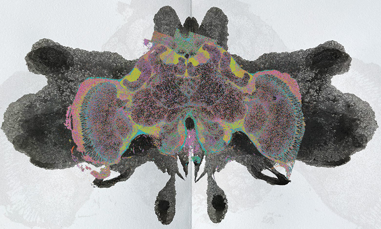 K’aizalaj Okox<br /><br />
Scientist Collaborators Alex Schrader, JuYeon Lee, Marisa Asadian, Ian Traniello, Gene E. Robinson and Hee-Sun Han Hee-Sun Han Group<br /><br />
Fluorescence Microscope - Zeiss Axiovert 200M with the Apotome<br /><br />
Funded by the J&J Cancer Center, European Research Council, Brain2Bee