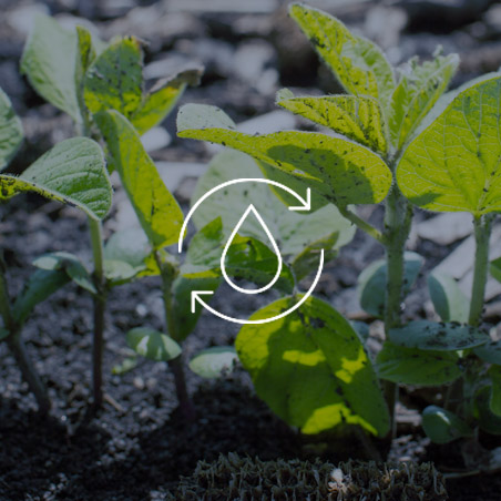 Agriculture & Energy